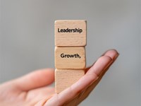 ¿Tu equipo trabaja en sinergia?
